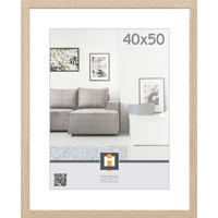 RAM ZA SLIKE      43/53/1,6 cm    - siva, Osnovno, staklo/plastika (43/53/1,6cm)