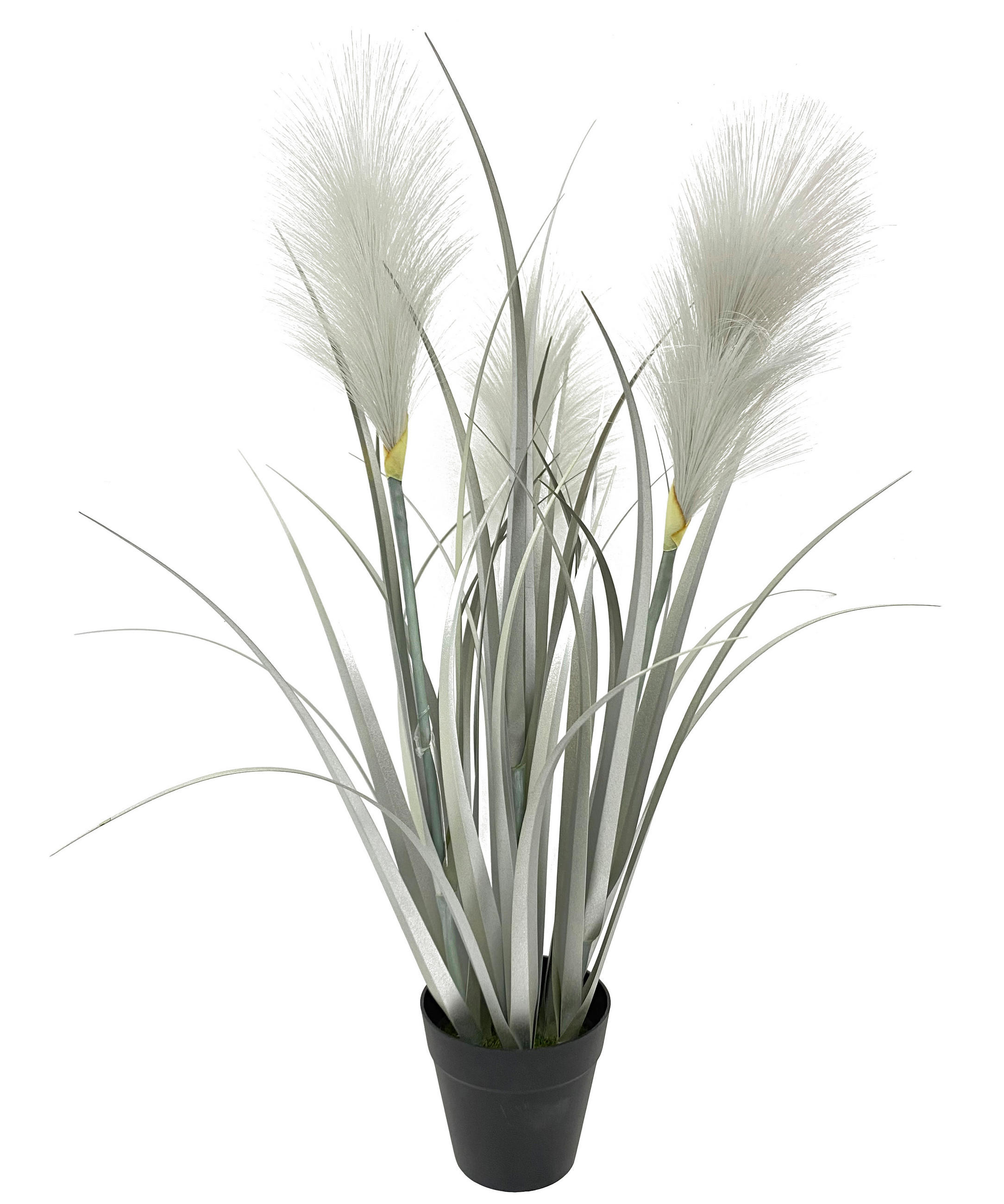 SCHILFGRAS Schilfgras  - Silberfarben/Schwarz, Basics, Kunststoff/Textil (55cm) - Ambia Home