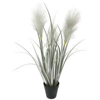 SCHILFGRAS Schilfgras  - Silberfarben/Schwarz, Basics, Kunststoff/Textil (55cm) - Ambia Home