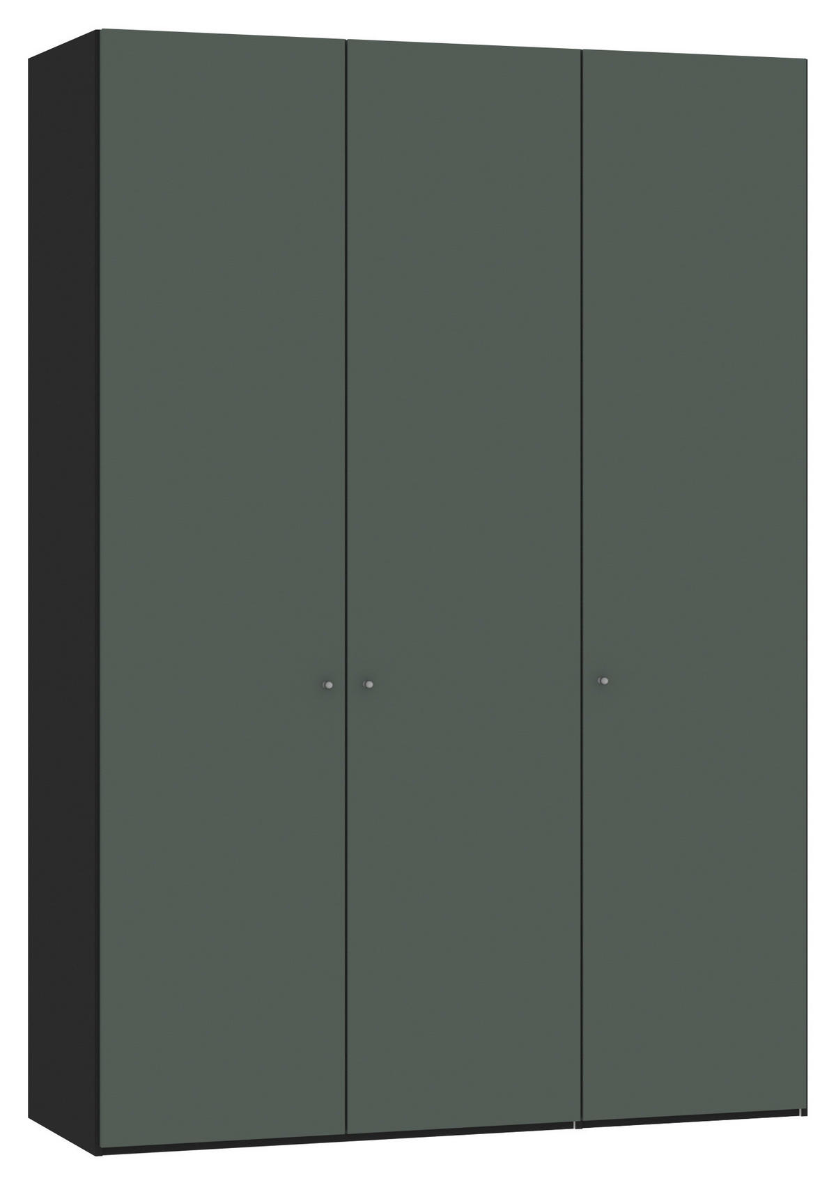 DREHTÜRENSCHRANK 152/220/59 cm 3-türig Schwarz, Grün, Grau  - Silberfarben/Schwarz, Design, Glas/Holzwerkstoff (152/220/59cm) - Jutzler