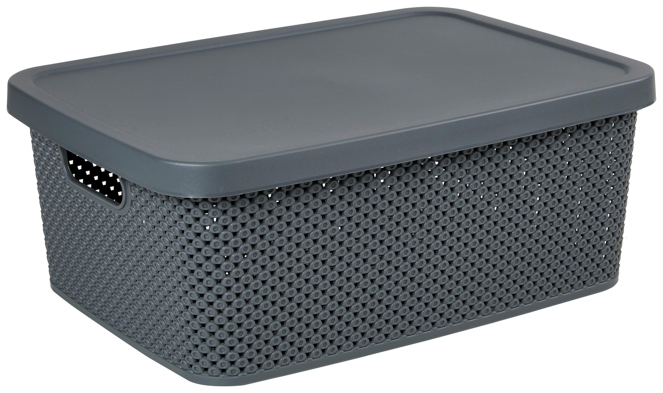 CUTIE PENTRU DEPOZITARE 38,5/28/15,5 cm     - gri închis, Basics, plastic (38,5/28/15,5cm) - Homeware