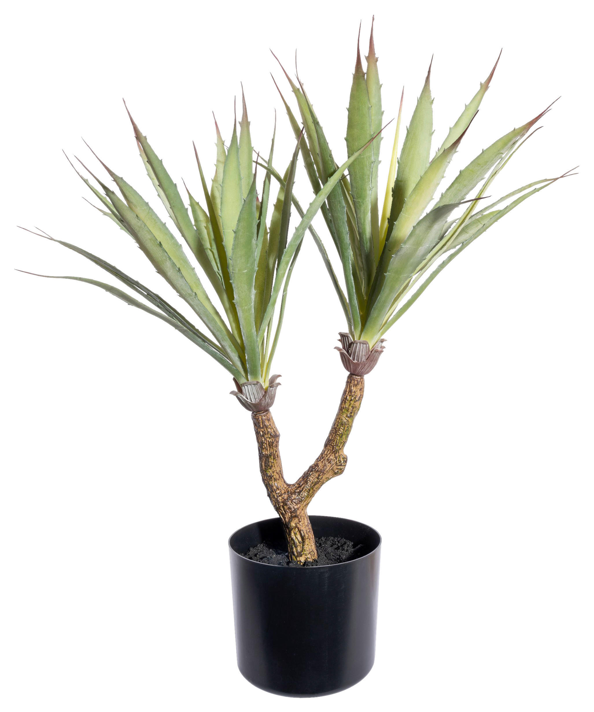 KUNSTPFLANZE Agave 60 cm - Schwarz/Braun, Design, Kunststoff (60cm) - P & B