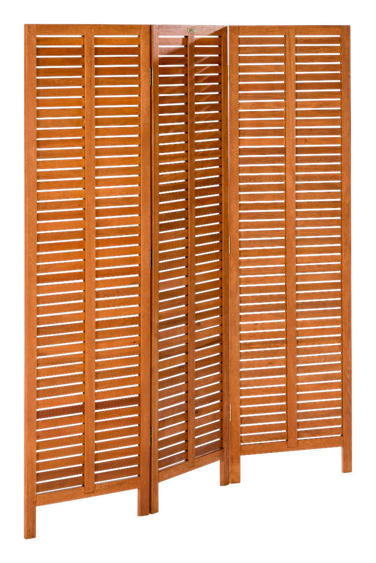 PARAVAN 150/170/1 cm naravne barve  - naravne barve, Konvencionalno, les (150/170/1cm) - Gardenson