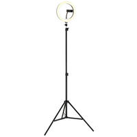LED-STEHLEUCHTE Delgado 63/210 cm  - Opal/Schwarz, Design, Kunststoff/Metall (63/210cm) - Globo