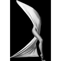 BILD 100/150 cm  - Schwarz/Weiß, Design, Kunststoff (100/150cm)
