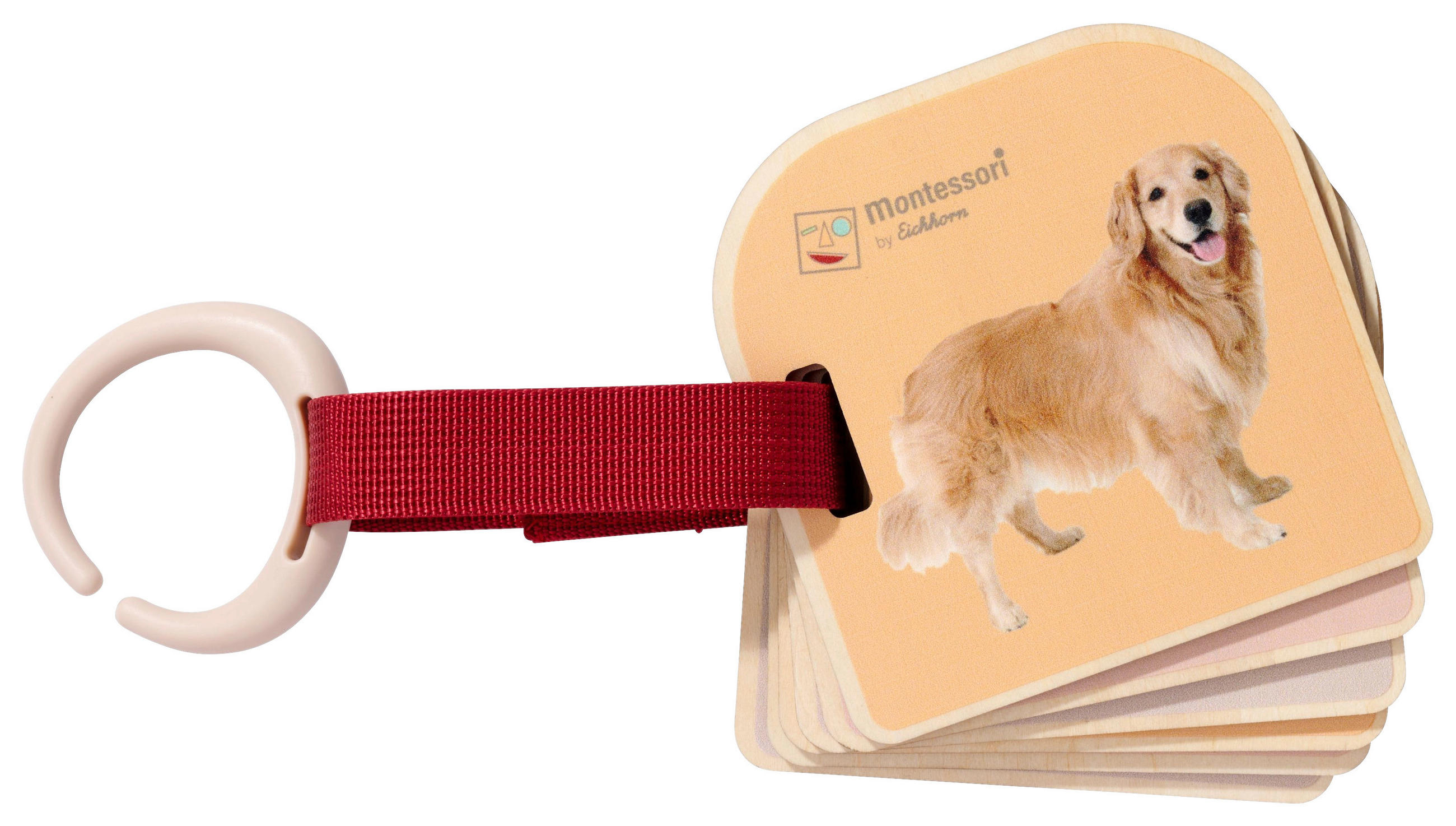 LERNSPIEL  - Multicolor, Basics, Holz (6,50/13/13cm) - Eichhorn