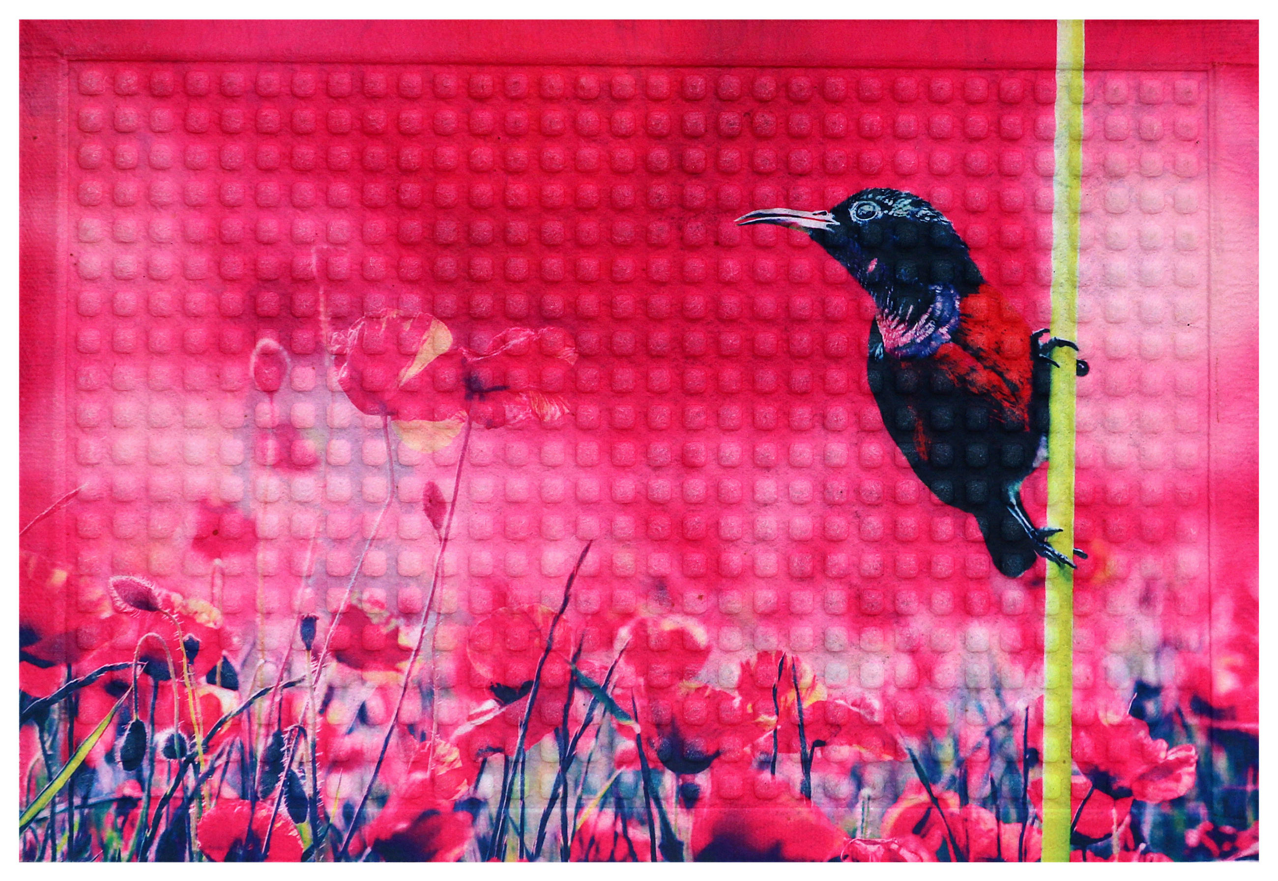 DVEŘNÍ ROHOŽKA, 40/60 cm