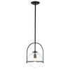 SVJETILJKA VISEĆA  28.9/50.3 cm      Elstead Somerset  - crna, Design, staklo/metal (28.9/50.3cm) - Elstead Lighting