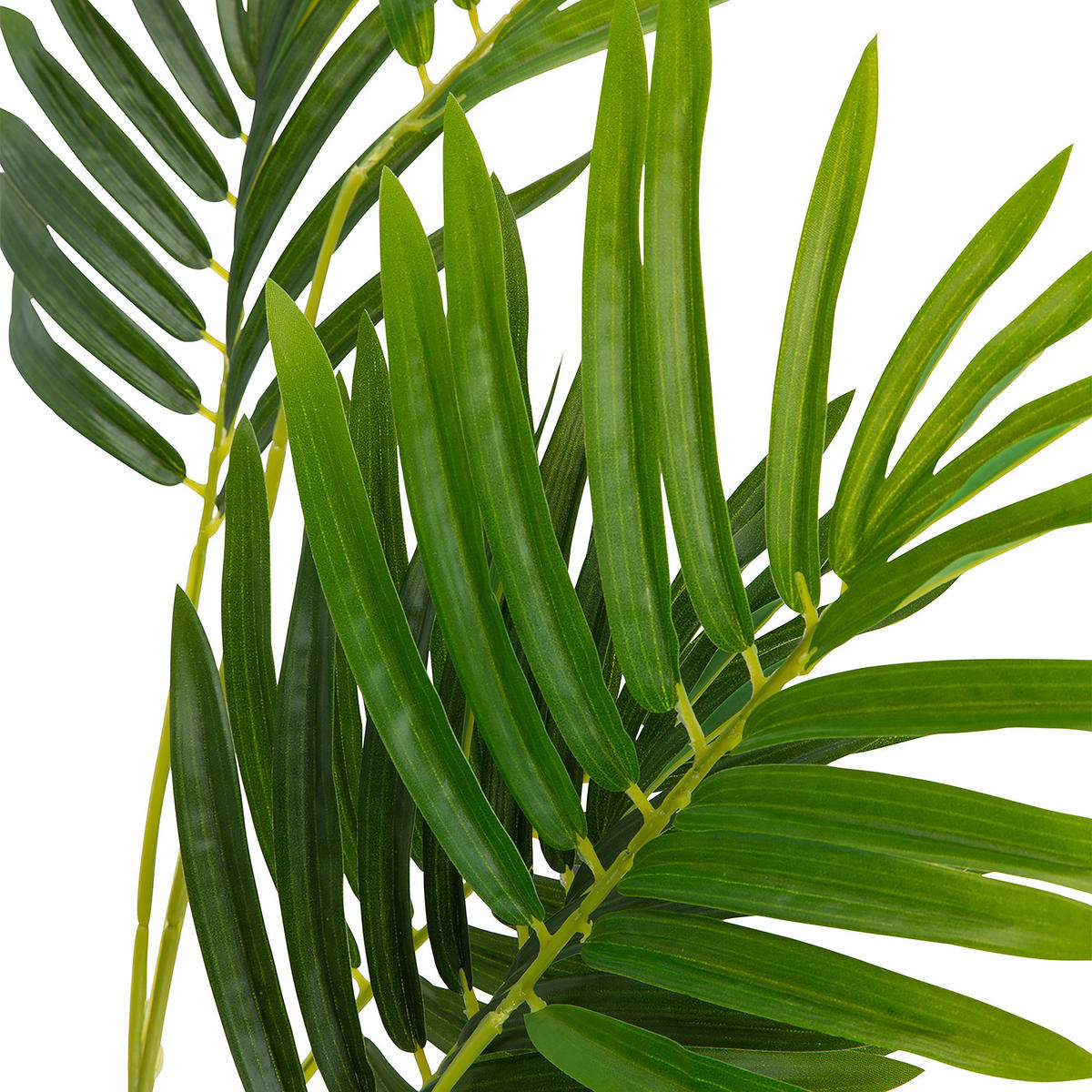 KUNSTPFLANZE Palme  - Schwarz/Braun, Basics, Kunststoff (70/120/70cm) - MID.YOU