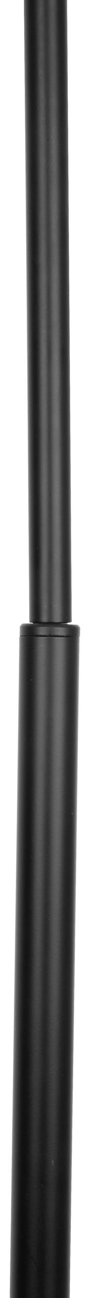 STEHLEUCHTE 70/25/157 cm   - Goldfarben/Schwarz, Trend, Metall (70/25/157cm) - Novel