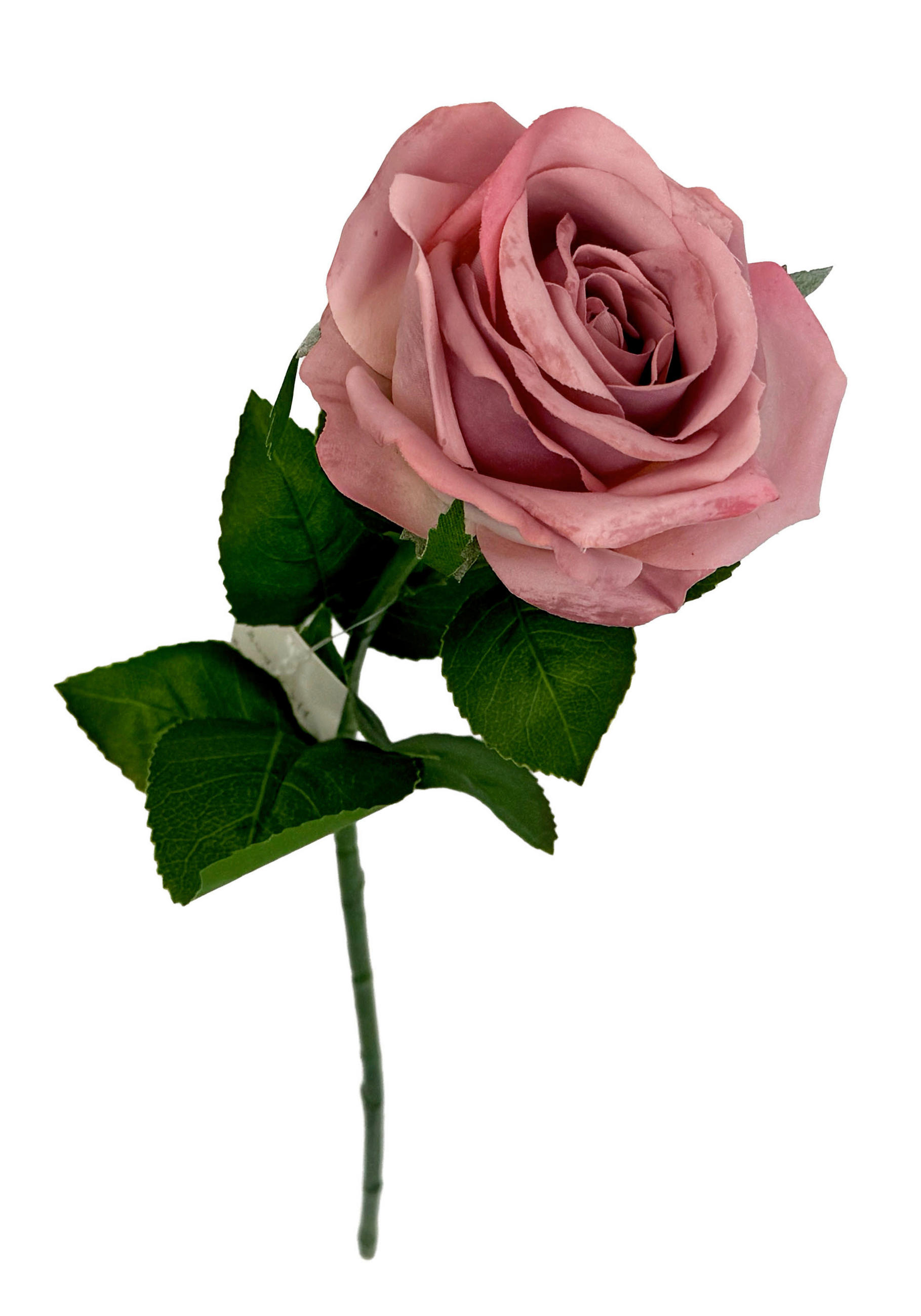 UMELÝ KVET 60 cm - pink/zelená, Basics, plast (60cm)