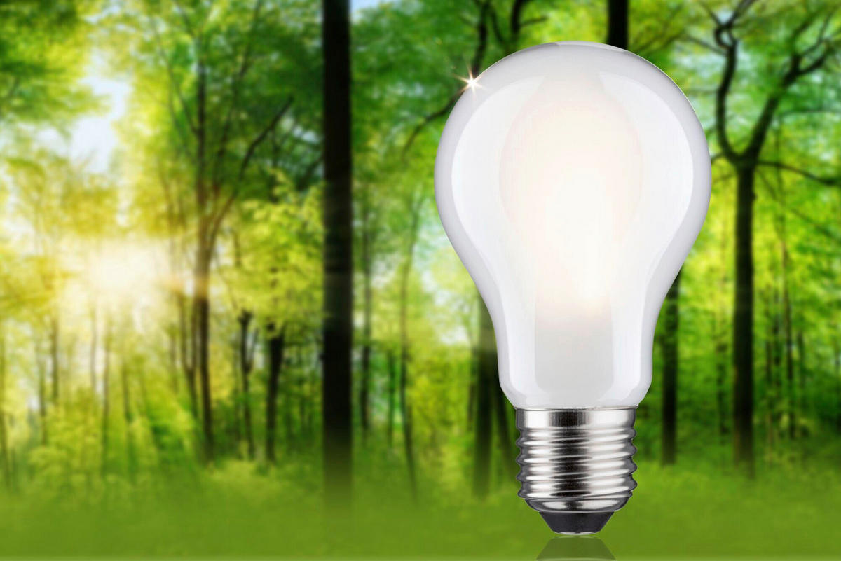 ENERGIESPAR-LEUCHTMITTEL - Transparent, Basics, Glas (6,0/10,5cm) - Paulmann