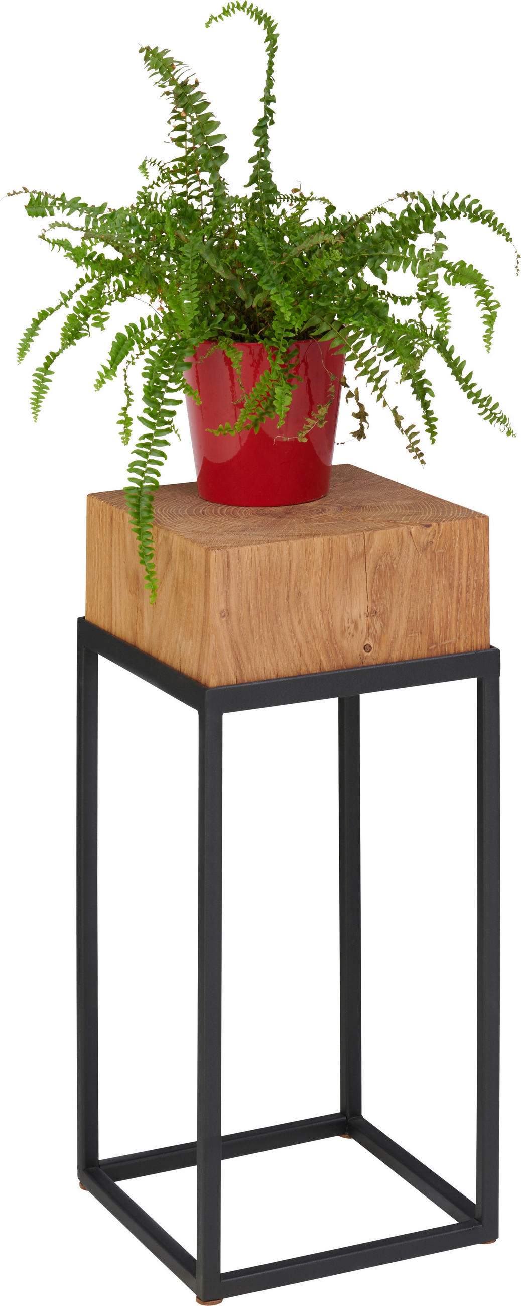 STOJAN NA KVĚTINY dub černá, barvy dubu - černá/barvy dubu, Natur, kov/dřevo (25/25/53cm) - Linea Natura