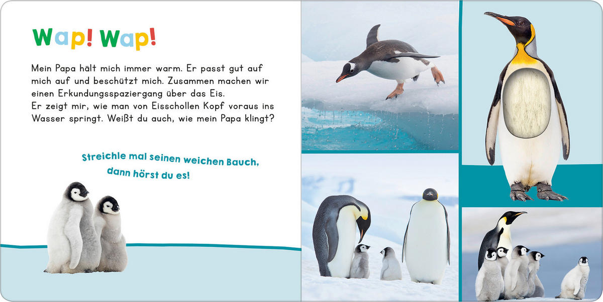 BUCH - Multicolor, Basics, Papier (19,5/19,5/1,8cm)