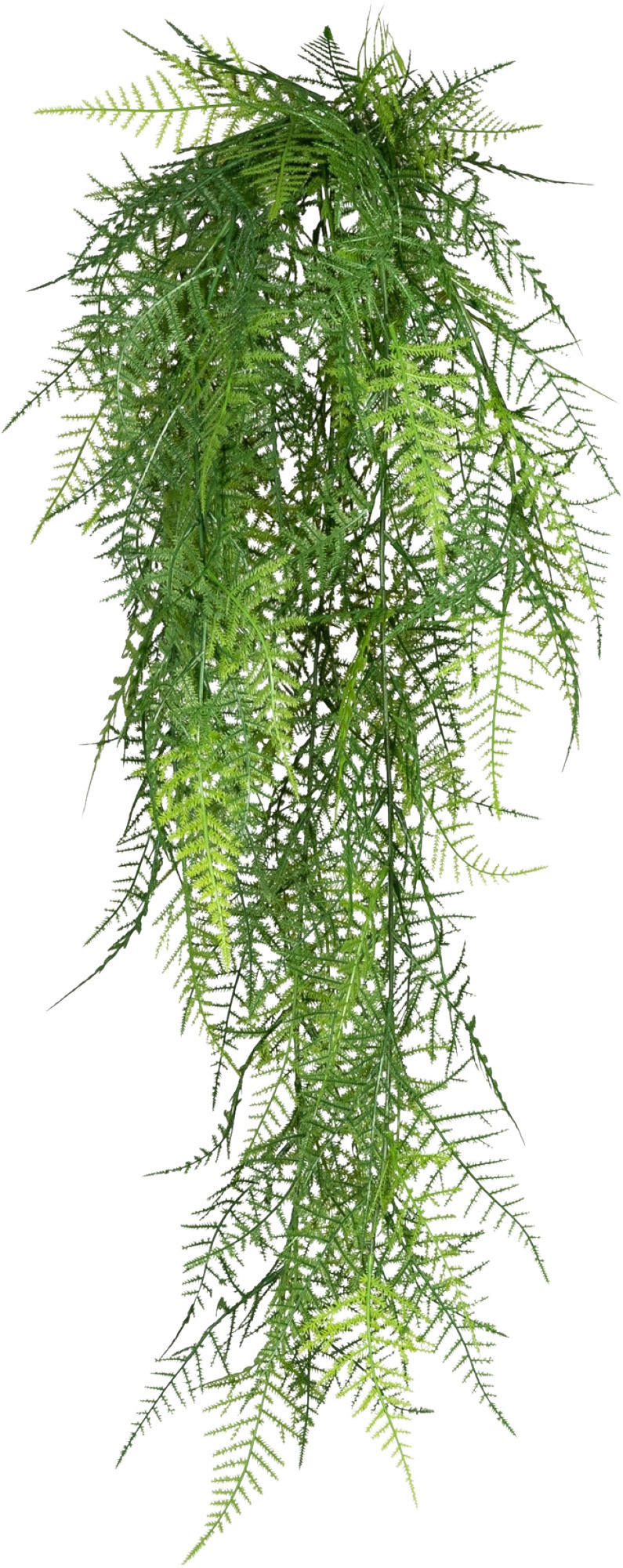 KUNSTPFLANZE 80 cm  - Grün, Design, Kunststoff (80cm) - P & B