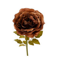 VRTNICA - Basics (125,00cm)