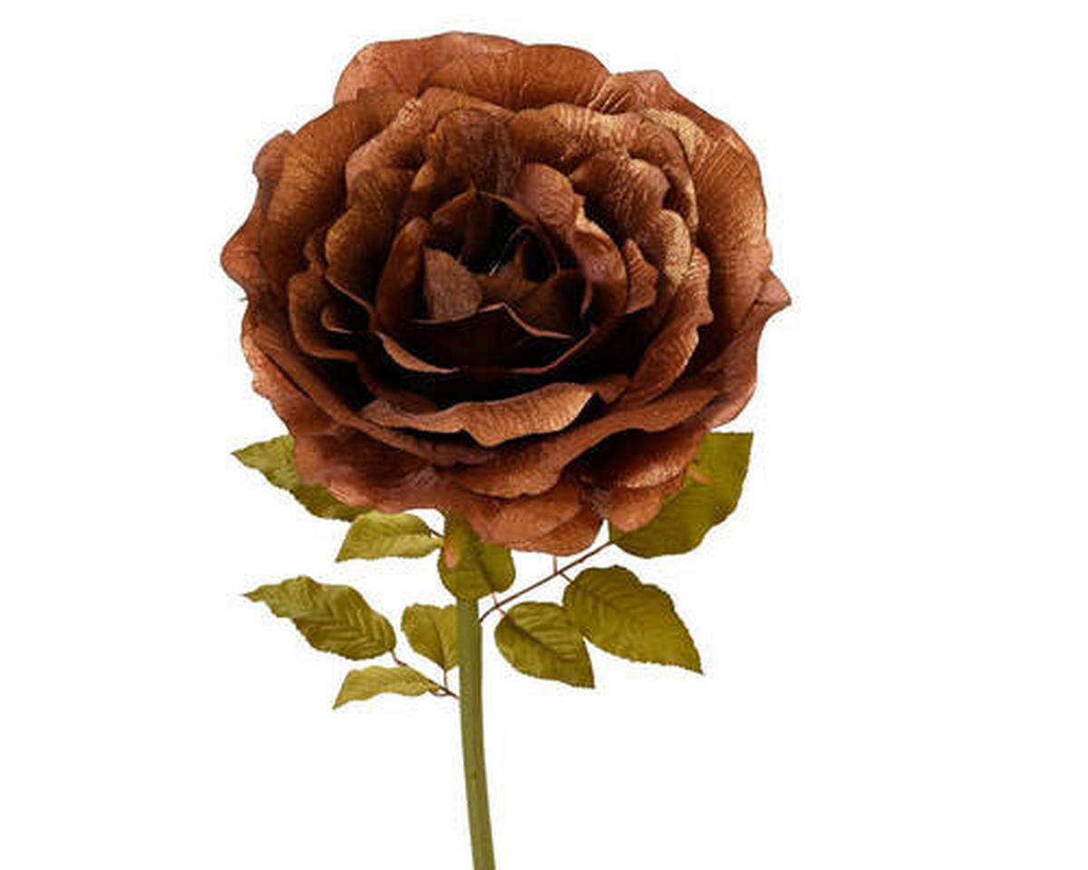 VRTNICA - Basics (125,00cm)