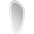 BADEZIMMERSPIEGEL 45/80/3,1 cm - Silberfarben, Design, Glas (45/80/3,1cm) - Novel