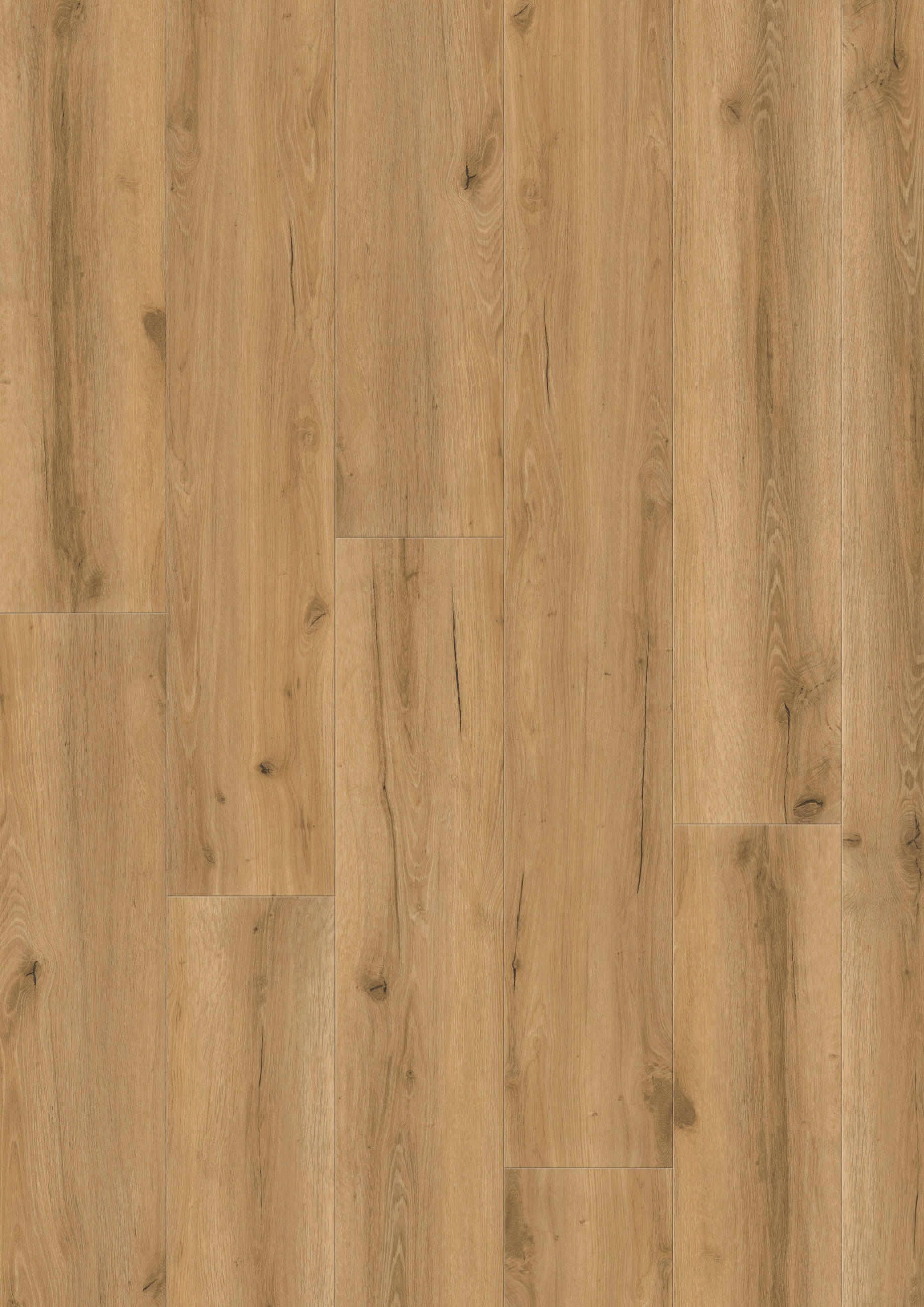 VINYLBODEN GRANDO Eiche Macadamia 100065701  per  m² - Eichefarben, Design, Holzwerkstoff (184/21,6/1cm) - Tilo