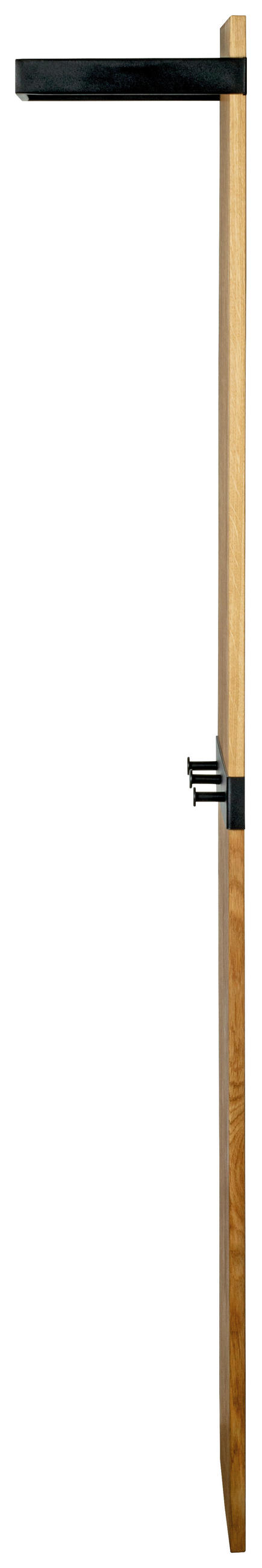 NÁSTĚNNÁ ŠATNA - černá/barvy dubu, Konvenční, kov/dřevo (35/175/25cm)