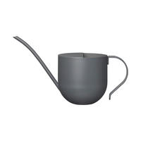 GIESSKANNE - Grau, KONVENTIONELL, Metall (29,6/13,5/17,3cm) - Blomus