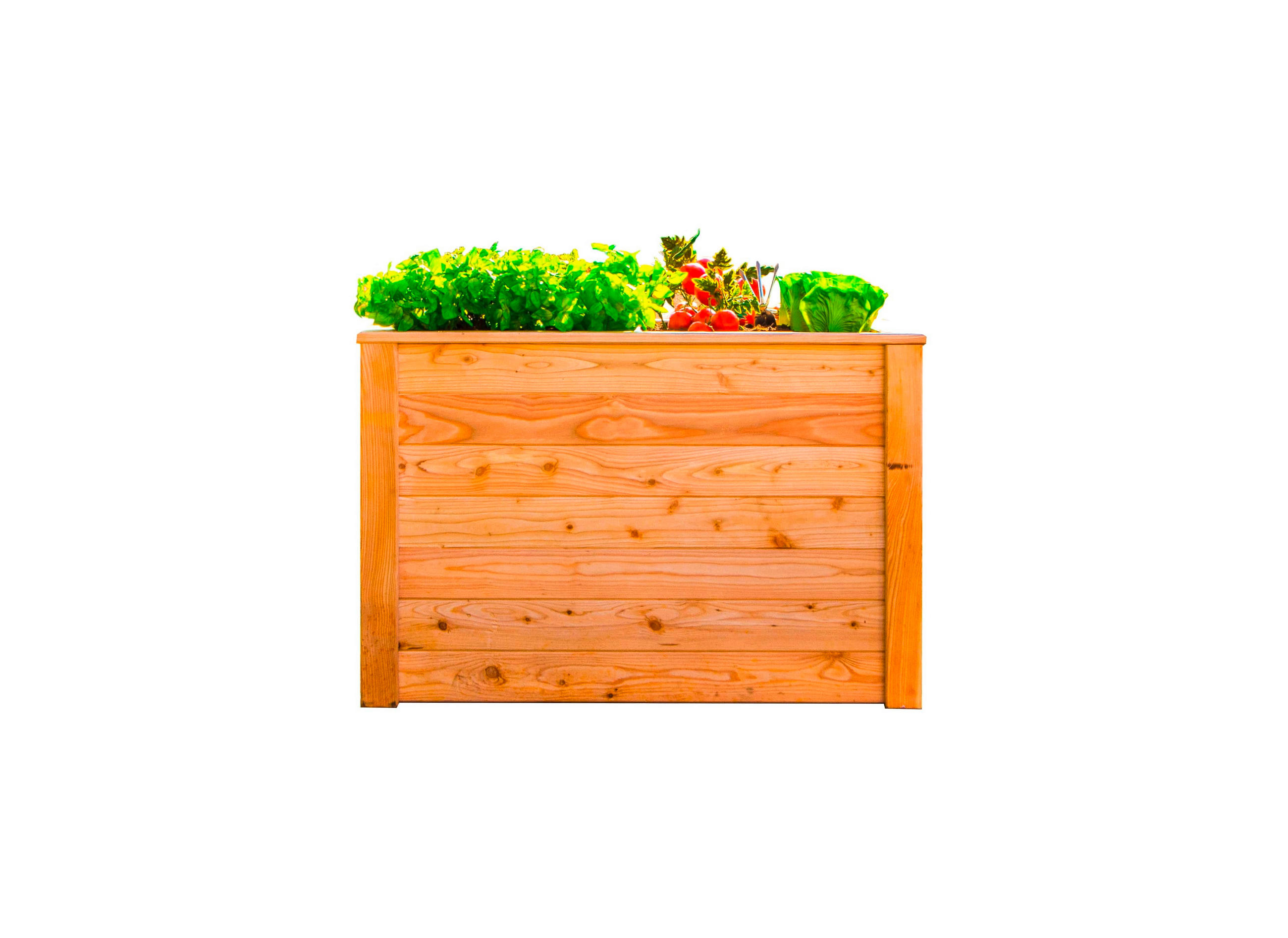 HOCHBEET 65/66/100 cm  - Lärchefarben, Basics, Holz (65/66/100cm)