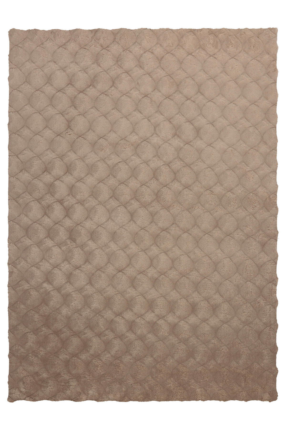 HOCHFLORTEPPICH 80/150 cm Taupe rechteckig  - Taupe, Basics, Textil (80/150cm) - Kayoom