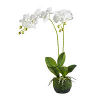 ORCHIDÉE - Weiss/Grün, Basics, Kunststoff (62cm)