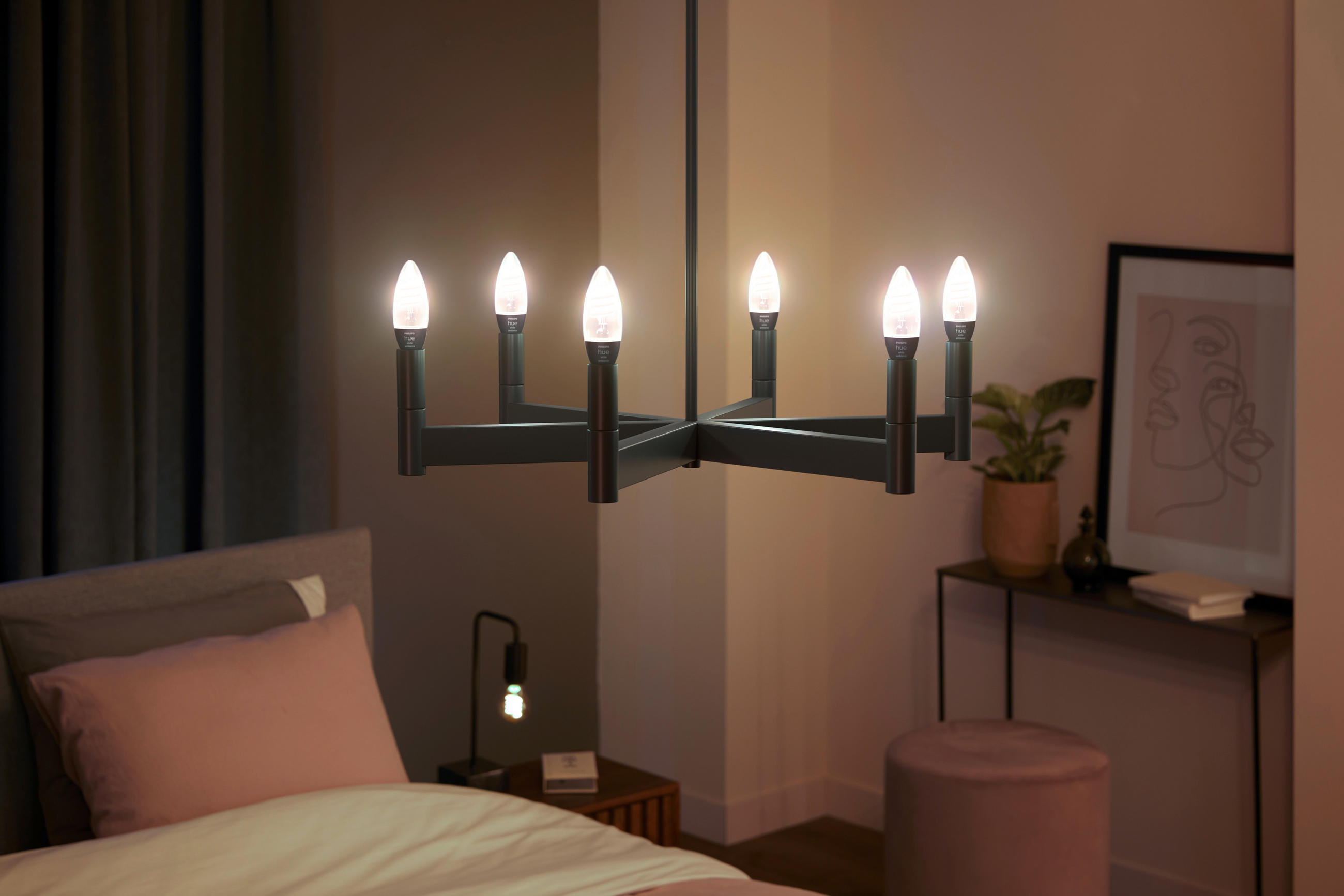 LED-FILAMENT-LEUCHTMITTEL   E14 4,6 W  - Transparent/Schwarz, Basics, Glas/Kunststoff (3,9/3,9/12,9cm) - Philips HUE
