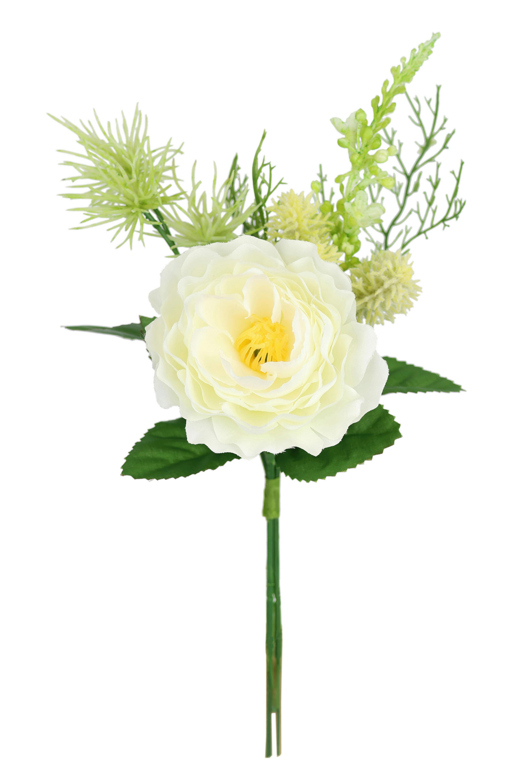 ROSE  - Creme, Basics (11/24/11cm)