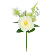 ROSE  - Creme, Basics (11/24/11cm)