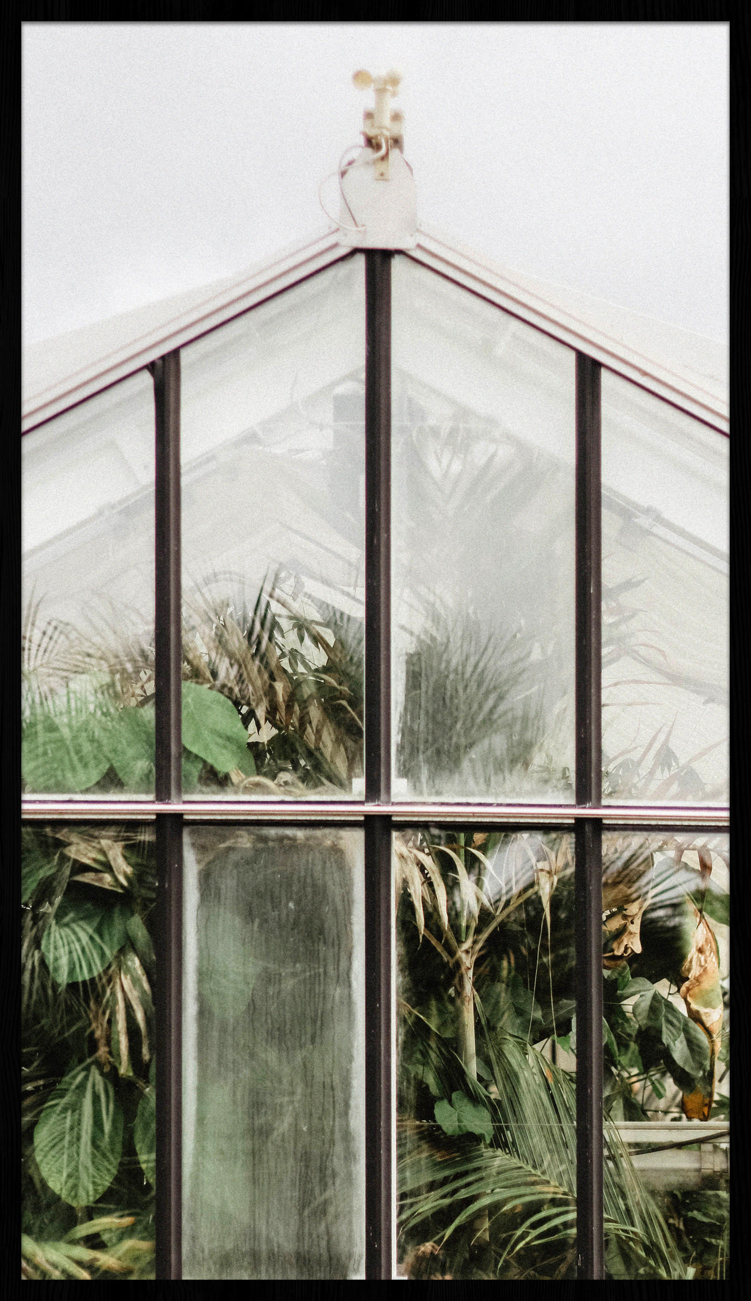 BILD 70/118 cm  - Schwarz/Grün, Design, Holz/Kunststoff (70/118cm) - Wandkraft