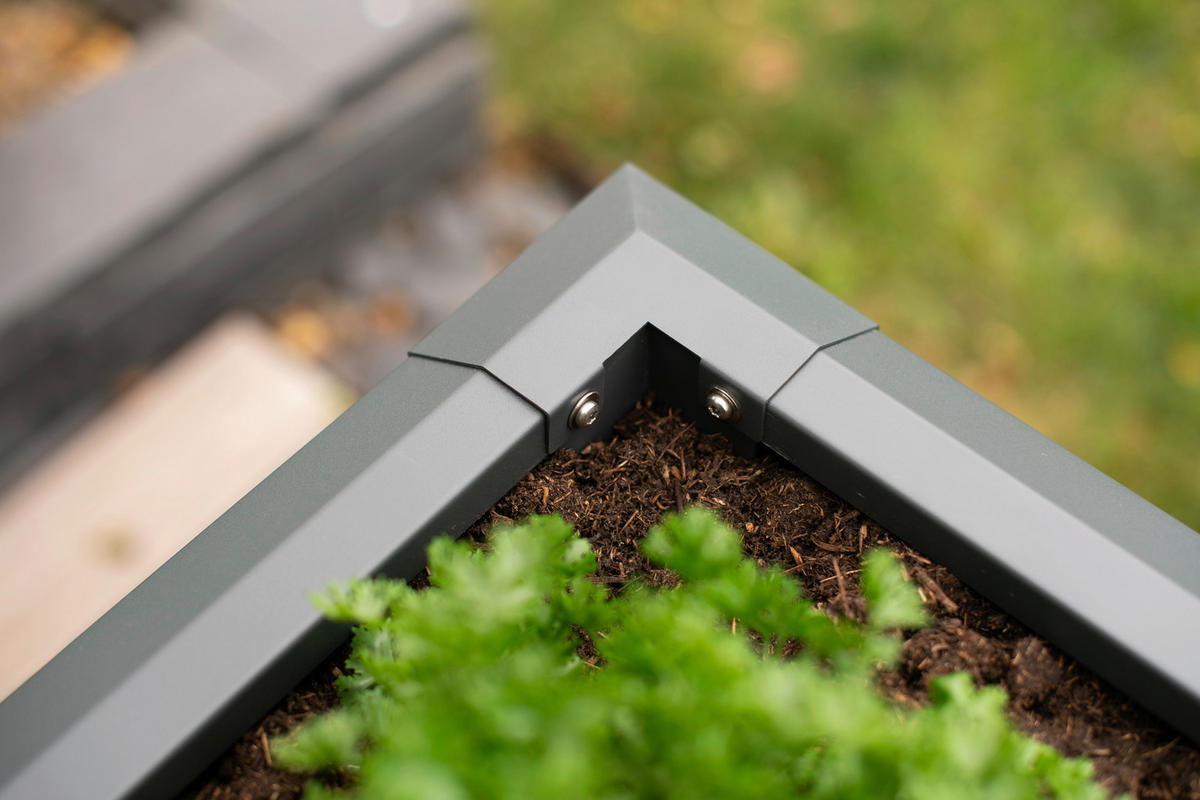 HOCHBEET Primus  - Anthrazit, KONVENTIONELL, Metall (50/100/77cm) - Ambia Garden