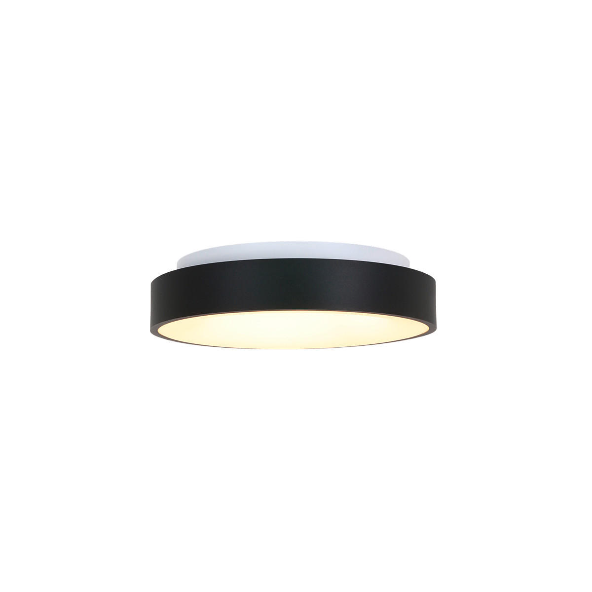 LED-DECKENLEUCHTE Ringlede 30/9 cm   - Schwarz, Basics, Kunststoff/Metall (30/9cm)
