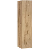 HOCHSCHRANK  - Eichefarben/Grau, Design, Glas/Holz (160cm) - Voglauer