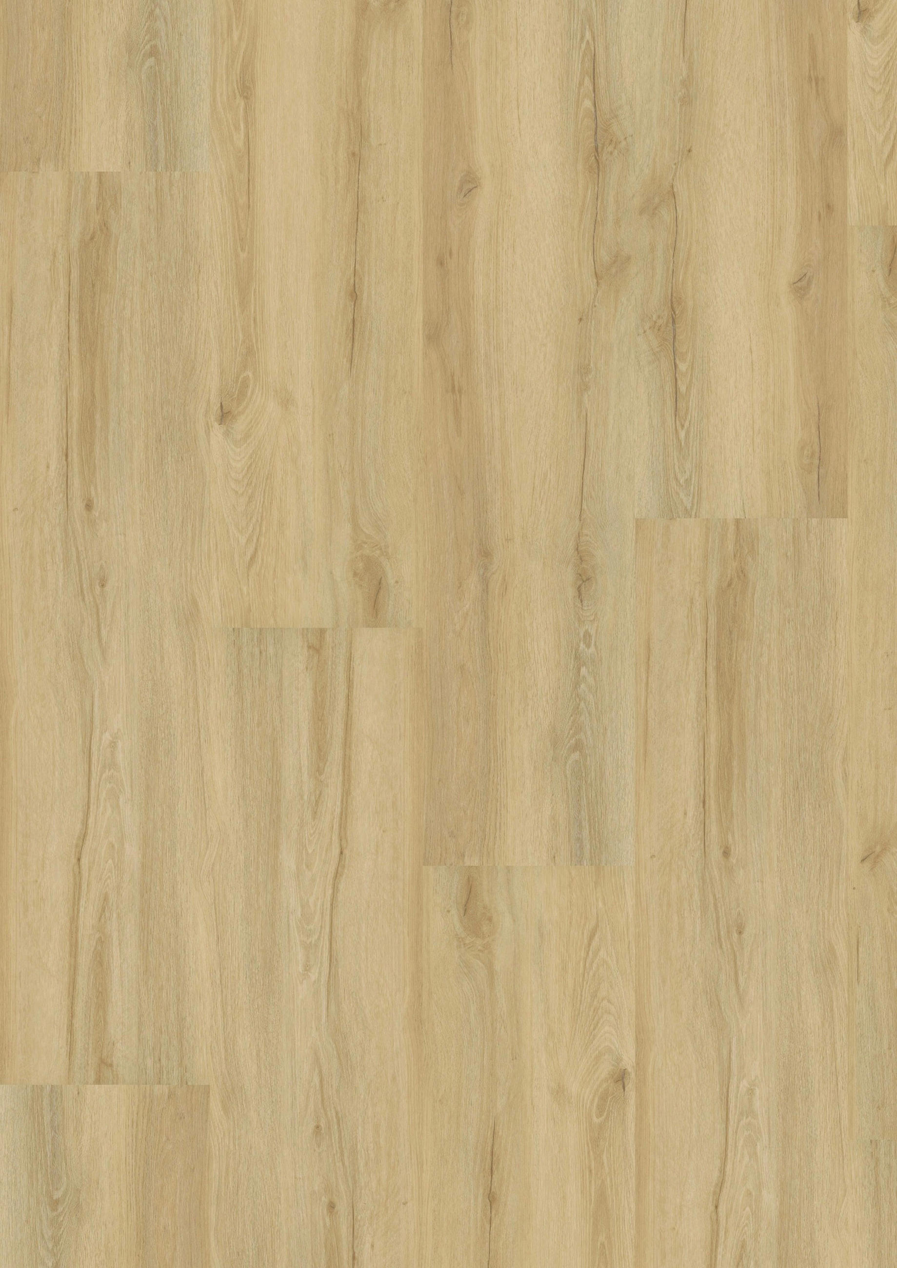 VINYLBODEN, Eiche Fortis  per  m² - Design, Holzwerkstoff (121/28,8/0,98cm) - Tilo