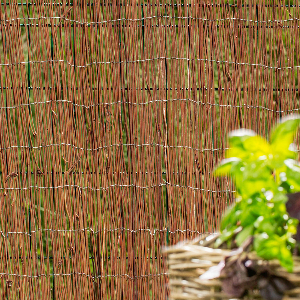 TIENIACA CLONA NA PLOT 300/150 cm  - prírodná farba, Basics, prírodné materiály (300/150cm)