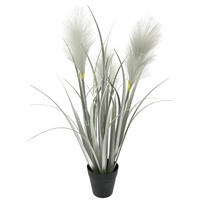 SCHILFGRAS Schilfgras  - Silberfarben/Schwarz, Basics, Kunststoff/Textil (55cm) - Ambia Home