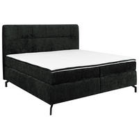 BOXSPRINGBETT 160/200 cm  Schwarz  - Schwarz, Design, Textil/Metall (160/200cm) - Esposa