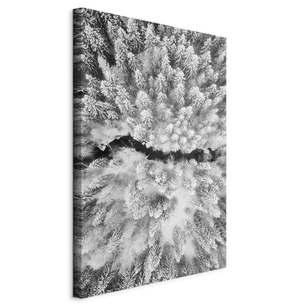 LEINWANDBILD Landschaft & Natur, Bäume 40/60/1,2 cm  - Schwarz/Weiß, Basics, Holzwerkstoff/Textil (40/60/1,2cm) - artgeist