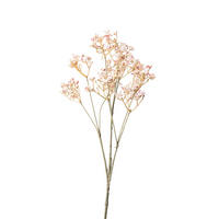 GIPSOFILA  - pink/zelena, Basics, plastika (70cm)