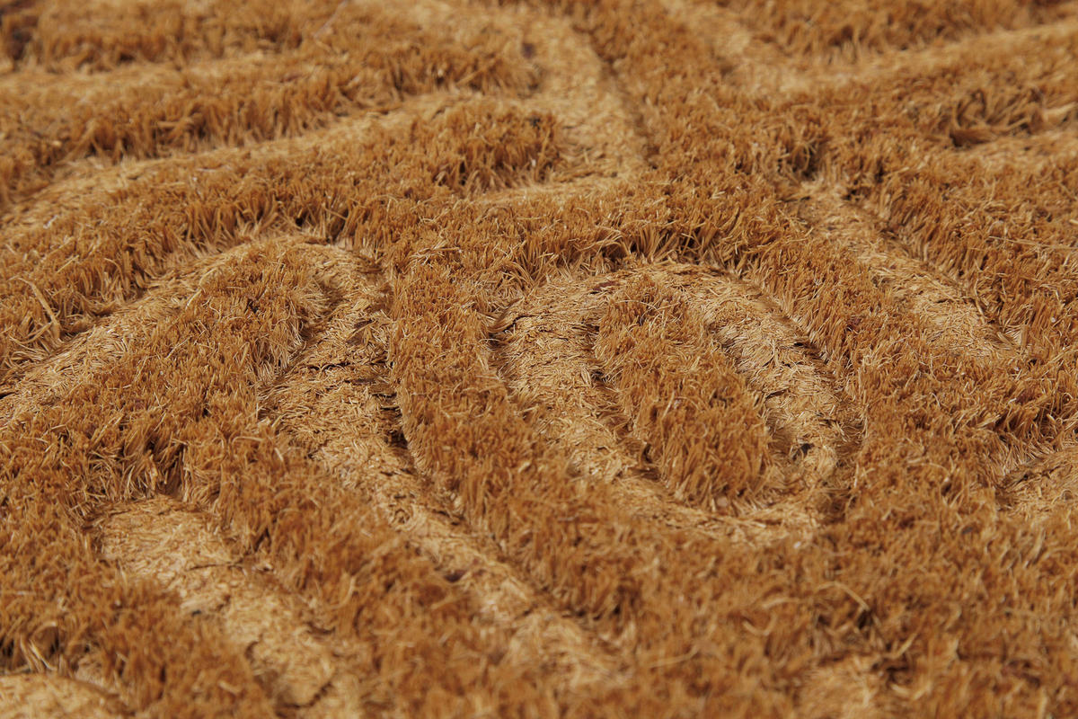 FUßMATTE 60/90 cm Desert Doodle  - Hellbraun, KONVENTIONELL, Kunststoff/Textil (60/90cm) - WECON HOME