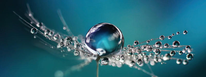 GLASBILD Blumen  - Multicolor, KONVENTIONELL, Glas (30/80/1,40cm) - Euroart