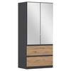 DREHTÜRENSCHRANK 91/197/54 cm 2-türig Eiche Artisan, Grau  - Eiche Artisan/Grau, MODERN, Holzwerkstoff (91/197/54cm) - Rauch Möbel