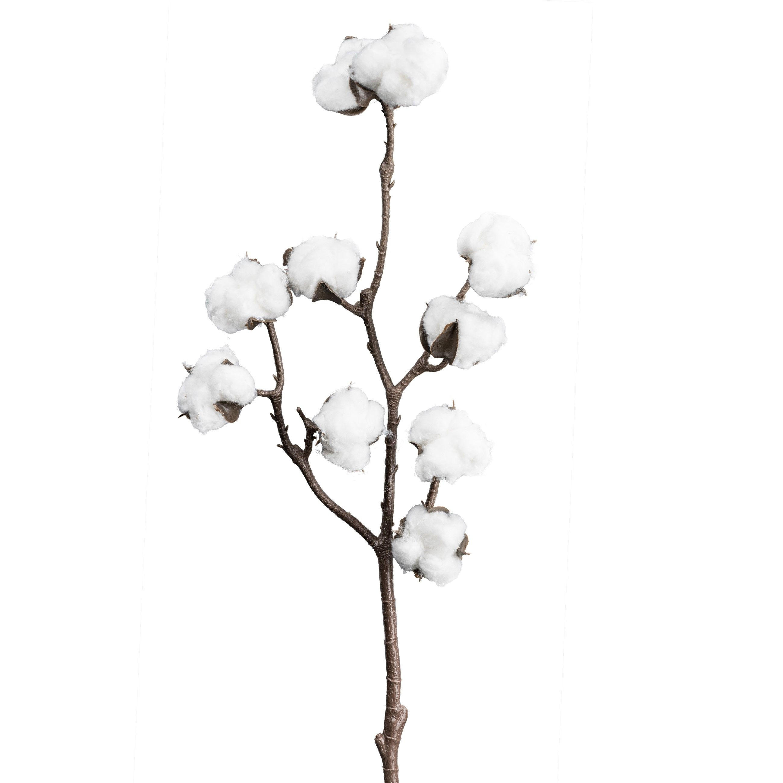 DEKOZWEIG  - Weiß/Braun, Basics, Kunststoff (46cm)
