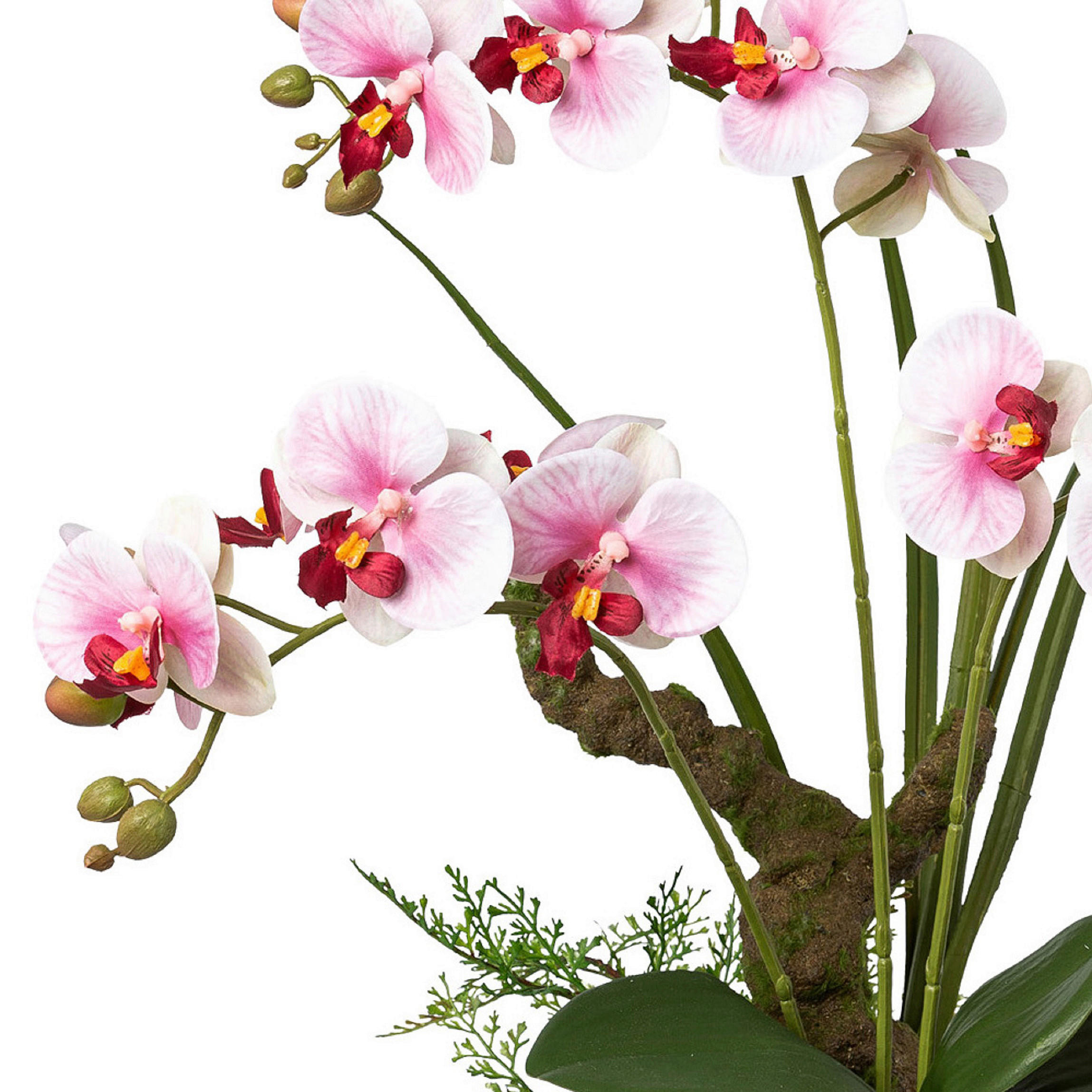 KUNSTPFLANZE Orchidee 46 cm  - Rosa/Weiß, Design, Keramik/Kunststoff (46cm) - P & B