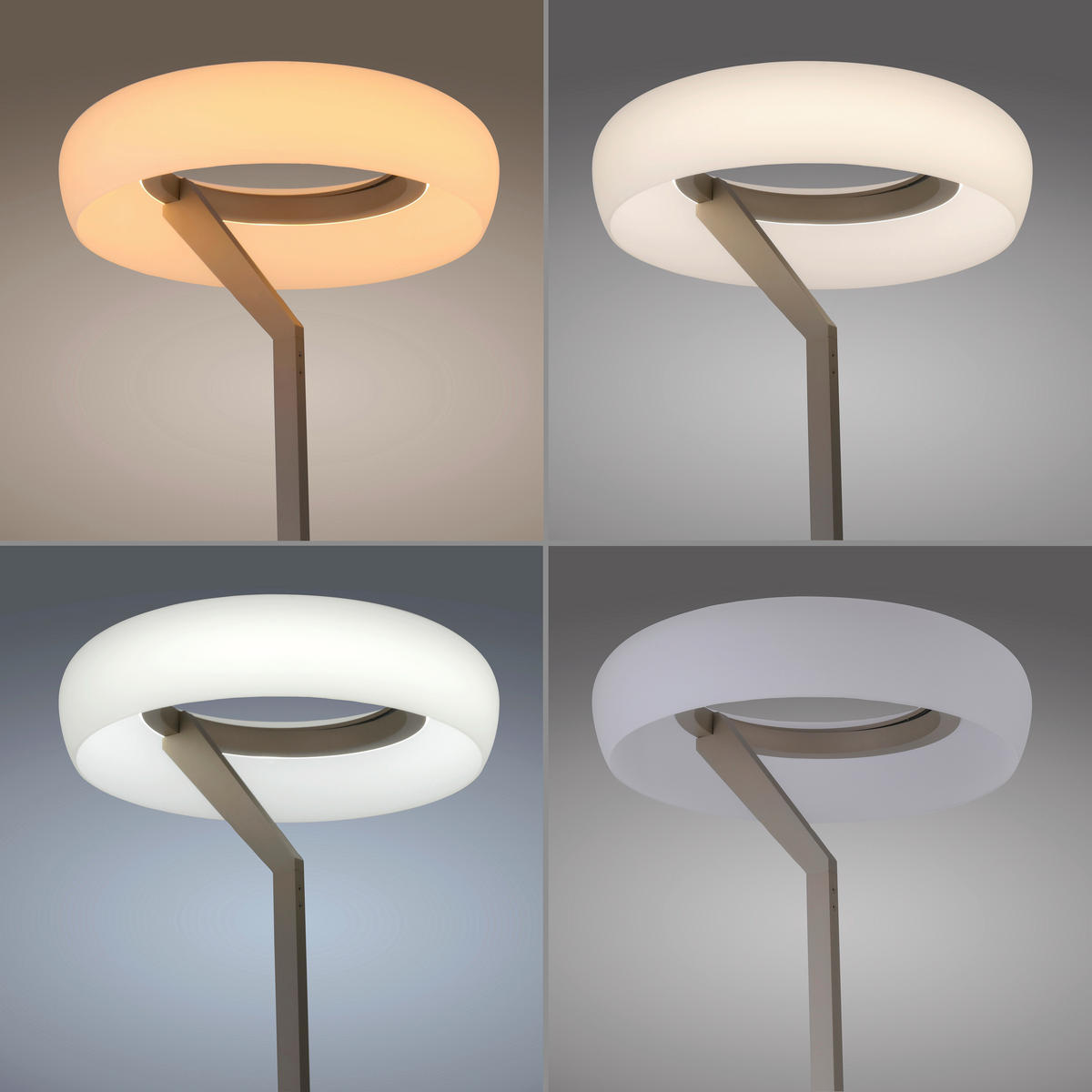 LED-STEHLEUCHTE - Bronzefarben, Basics, Glas/Metall (51,3/51,3/180cm) - Paul Neuhaus