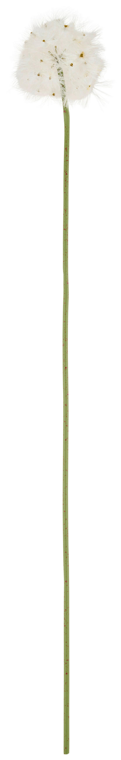 KUNSTBLUME - Weiß/Hellgrün, Basics, Kunststoff (80cm)