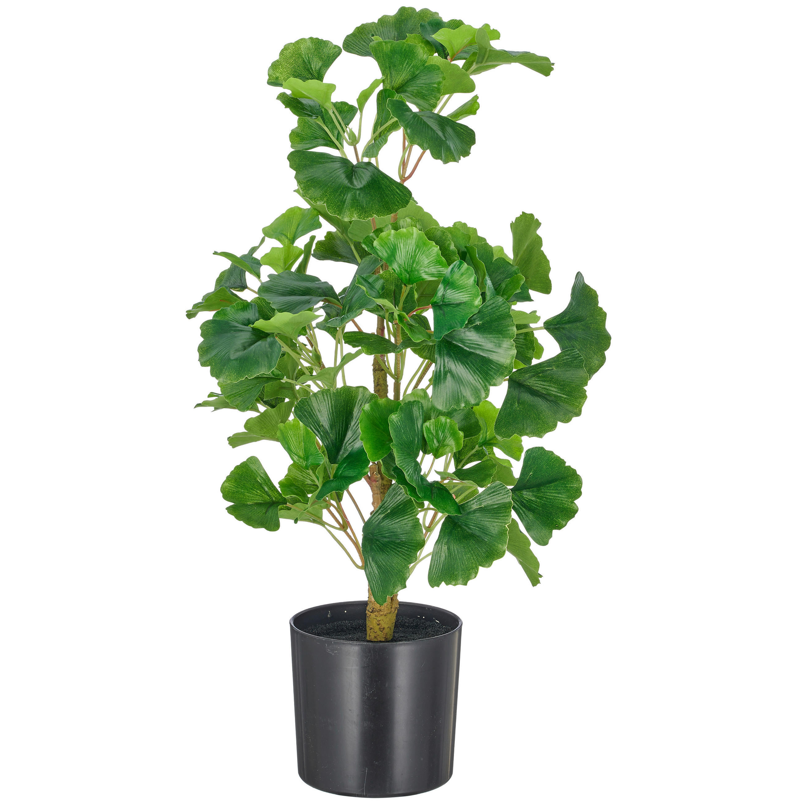 KUNSTPFLANZE Ginkgo 53 cm  - Hellbraun/Schwarz, Basics, Kunststoff (53cm)