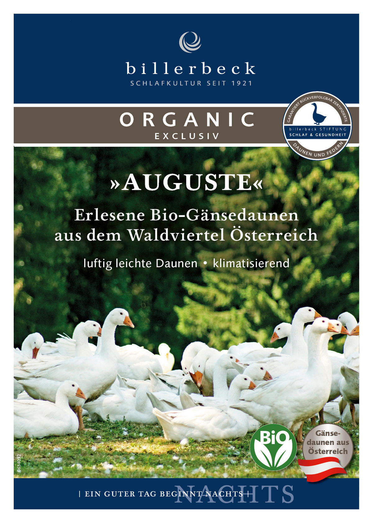 DAUNENDECKE  AUGUSTE 140/200 cm 10 % Federn 90 % Daunen  - Basics, Textil (140/200cm) - Billerbeck